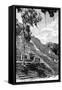 ¡Viva Mexico! B&W Collection - Pyramid of the ancient Mayan city of Calakmul VI-Philippe Hugonnard-Framed Stretched Canvas