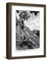 ¡Viva Mexico! B&W Collection - Pyramid of the ancient Mayan city of Calakmul VI-Philippe Hugonnard-Framed Photographic Print