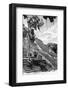 ¡Viva Mexico! B&W Collection - Pyramid of the ancient Mayan city of Calakmul VI-Philippe Hugonnard-Framed Photographic Print