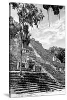 ¡Viva Mexico! B&W Collection - Pyramid of the ancient Mayan city of Calakmul VI-Philippe Hugonnard-Stretched Canvas