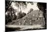 ¡Viva Mexico! B&W Collection - Pyramid of the ancient Mayan city of Calakmul-Philippe Hugonnard-Mounted Photographic Print