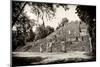 ¡Viva Mexico! B&W Collection - Pyramid of the ancient Mayan city of Calakmul-Philippe Hugonnard-Mounted Photographic Print