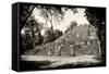 ¡Viva Mexico! B&W Collection - Pyramid of the ancient Mayan city of Calakmul-Philippe Hugonnard-Framed Stretched Canvas