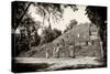 ¡Viva Mexico! B&W Collection - Pyramid of the ancient Mayan city of Calakmul-Philippe Hugonnard-Stretched Canvas