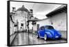 ¡Viva Mexico! B&W Collection - Royal Blue VW Beetle Car in San Cristobal de Las Casas-Philippe Hugonnard-Framed Stretched Canvas