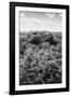 ¡Viva Mexico! B&W Collection - Ruins of the ancient Mayan city of Calakmul II-Philippe Hugonnard-Framed Photographic Print