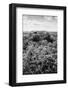 ¡Viva Mexico! B&W Collection - Ruins of the ancient Mayan city of Calakmul II-Philippe Hugonnard-Framed Photographic Print