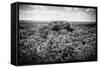 ¡Viva Mexico! B&W Collection - Ruins of the ancient Mayan city of Calakmul-Philippe Hugonnard-Framed Stretched Canvas