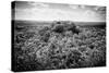 ¡Viva Mexico! B&W Collection - Ruins of the ancient Mayan city of Calakmul-Philippe Hugonnard-Stretched Canvas