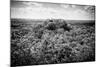 ¡Viva Mexico! B&W Collection - Ruins of the ancient Mayan city of Calakmul-Philippe Hugonnard-Mounted Photographic Print