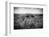 ¡Viva Mexico! B&W Collection - Ruins of the ancient Mayan city of Calakmul-Philippe Hugonnard-Framed Photographic Print