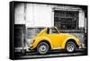 ¡Viva Mexico! B&W Collection - Small Gold VW Beetle Car-Philippe Hugonnard-Framed Stretched Canvas