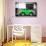 ¡Viva Mexico! B&W Collection - Small Kelly Green VW Beetle Car-Philippe Hugonnard-Photographic Print displayed on a wall