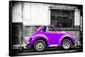 ¡Viva Mexico! B&W Collection - Small Red Purple Beetle Car-Philippe Hugonnard-Framed Stretched Canvas