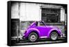 ¡Viva Mexico! B&W Collection - Small Red Purple Beetle Car-Philippe Hugonnard-Framed Stretched Canvas