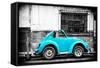 ¡Viva Mexico! B&W Collection - Small Turquoise VW Beetle Car-Philippe Hugonnard-Framed Stretched Canvas