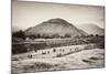 ¡Viva Mexico! B&W Collection - Teotihuacan Pyramids II-Philippe Hugonnard-Mounted Photographic Print