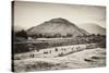 ¡Viva Mexico! B&W Collection - Teotihuacan Pyramids II-Philippe Hugonnard-Stretched Canvas