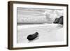 ?Viva Mexico! B&W Collection - Tree Trunk on a Caribbean Beach II-Philippe Hugonnard-Framed Photographic Print