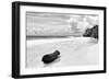 ?Viva Mexico! B&W Collection - Tree Trunk on a Caribbean Beach II-Philippe Hugonnard-Framed Photographic Print