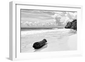 ?Viva Mexico! B&W Collection - Tree Trunk on a Caribbean Beach II-Philippe Hugonnard-Framed Photographic Print