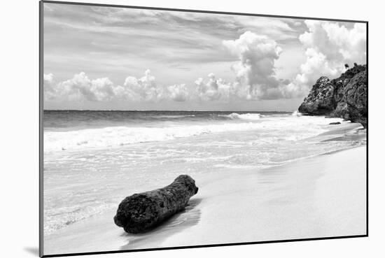 ?Viva Mexico! B&W Collection - Tree Trunk on a Caribbean Beach II-Philippe Hugonnard-Mounted Photographic Print