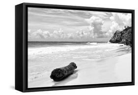 ?Viva Mexico! B&W Collection - Tree Trunk on a Caribbean Beach II-Philippe Hugonnard-Framed Stretched Canvas