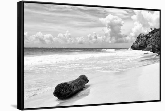 ?Viva Mexico! B&W Collection - Tree Trunk on a Caribbean Beach II-Philippe Hugonnard-Framed Stretched Canvas