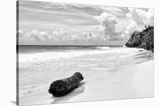 ?Viva Mexico! B&W Collection - Tree Trunk on a Caribbean Beach II-Philippe Hugonnard-Stretched Canvas