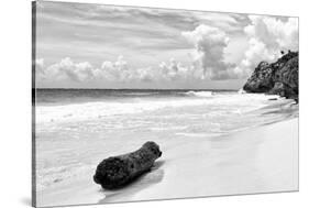 ?Viva Mexico! B&W Collection - Tree Trunk on a Caribbean Beach II-Philippe Hugonnard-Stretched Canvas