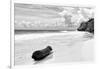 ?Viva Mexico! B&W Collection - Tree Trunk on a Caribbean Beach II-Philippe Hugonnard-Framed Photographic Print