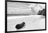 ?Viva Mexico! B&W Collection - Tree Trunk on a Caribbean Beach II-Philippe Hugonnard-Framed Photographic Print