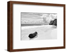 ?Viva Mexico! B&W Collection - Tree Trunk on a Caribbean Beach II-Philippe Hugonnard-Framed Photographic Print