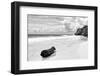 ?Viva Mexico! B&W Collection - Tree Trunk on a Caribbean Beach II-Philippe Hugonnard-Framed Photographic Print