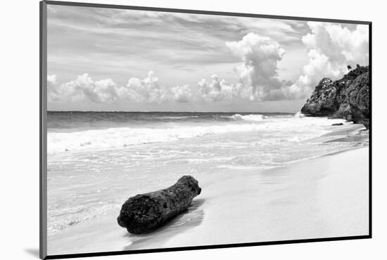 ?Viva Mexico! B&W Collection - Tree Trunk on a Caribbean Beach II-Philippe Hugonnard-Mounted Photographic Print