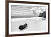 ?Viva Mexico! B&W Collection - Tree Trunk on a Caribbean Beach II-Philippe Hugonnard-Framed Photographic Print