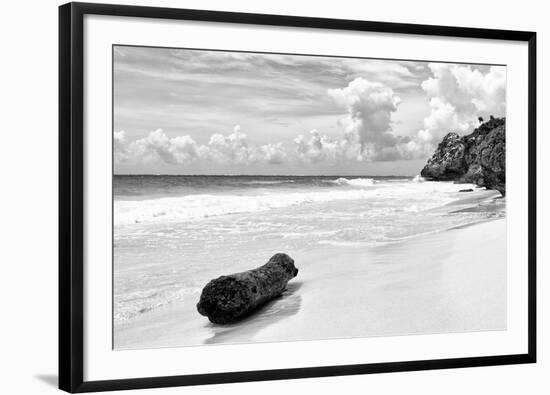 ?Viva Mexico! B&W Collection - Tree Trunk on a Caribbean Beach II-Philippe Hugonnard-Framed Photographic Print