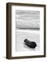 ?Viva Mexico! B&W Collection - Tree Trunk on a Caribbean Beach III-Philippe Hugonnard-Framed Photographic Print