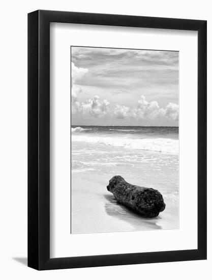 ?Viva Mexico! B&W Collection - Tree Trunk on a Caribbean Beach III-Philippe Hugonnard-Framed Photographic Print