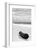 ?Viva Mexico! B&W Collection - Tree Trunk on a Caribbean Beach III-Philippe Hugonnard-Framed Photographic Print