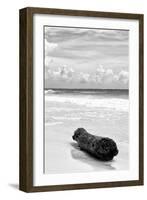 ?Viva Mexico! B&W Collection - Tree Trunk on a Caribbean Beach III-Philippe Hugonnard-Framed Photographic Print