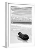?Viva Mexico! B&W Collection - Tree Trunk on a Caribbean Beach III-Philippe Hugonnard-Framed Photographic Print