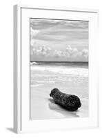 ?Viva Mexico! B&W Collection - Tree Trunk on a Caribbean Beach III-Philippe Hugonnard-Framed Photographic Print