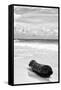 ?Viva Mexico! B&W Collection - Tree Trunk on a Caribbean Beach III-Philippe Hugonnard-Framed Stretched Canvas