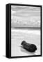 ?Viva Mexico! B&W Collection - Tree Trunk on a Caribbean Beach III-Philippe Hugonnard-Framed Stretched Canvas