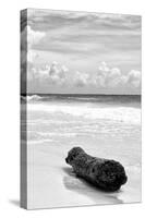 ?Viva Mexico! B&W Collection - Tree Trunk on a Caribbean Beach III-Philippe Hugonnard-Stretched Canvas