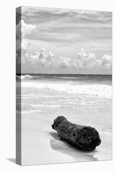 ?Viva Mexico! B&W Collection - Tree Trunk on a Caribbean Beach III-Philippe Hugonnard-Stretched Canvas