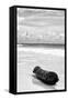 ?Viva Mexico! B&W Collection - Tree Trunk on a Caribbean Beach III-Philippe Hugonnard-Framed Stretched Canvas