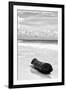 ?Viva Mexico! B&W Collection - Tree Trunk on a Caribbean Beach III-Philippe Hugonnard-Framed Photographic Print