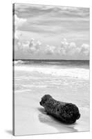 ?Viva Mexico! B&W Collection - Tree Trunk on a Caribbean Beach III-Philippe Hugonnard-Stretched Canvas